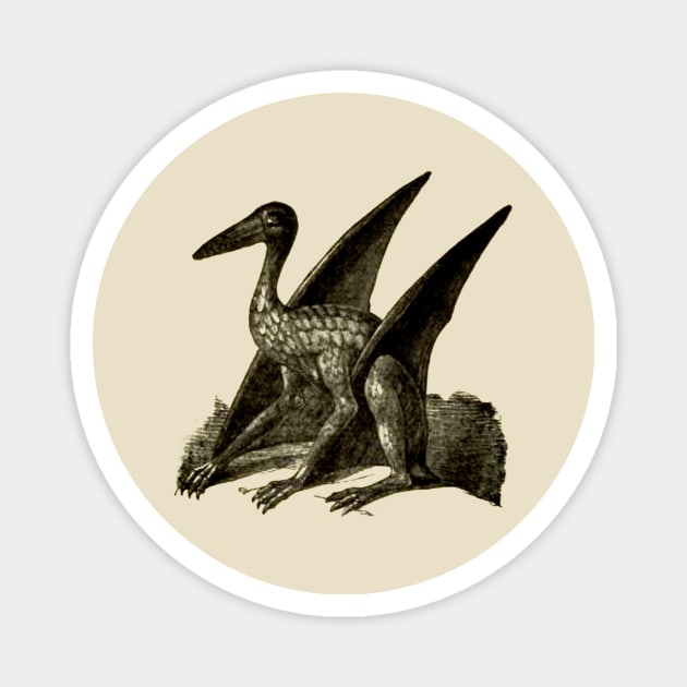 Archaeopteryx Magnet by OpsimathArt